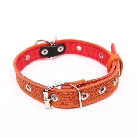 Collar leather reinforced with a kapron with a half-ring, 55 x 2.5 cm, Osh 27-53 cm, red-1