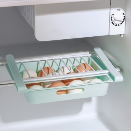Shelf for eggs in the refrigerator, suspended, 12 cells, 26 × 17 × 5 cm, color mix