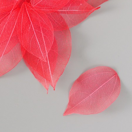 Leaves sidelled for creativity "red" set 20 pcs h = 6-6.5 cm-1