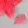 Leaves sidelled for creativity "red" set 20 pcs h = 6-6.5 cm