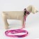 Set "Tenderness", fastener - Fastex, leash 2 m and collar 28-46 cm
