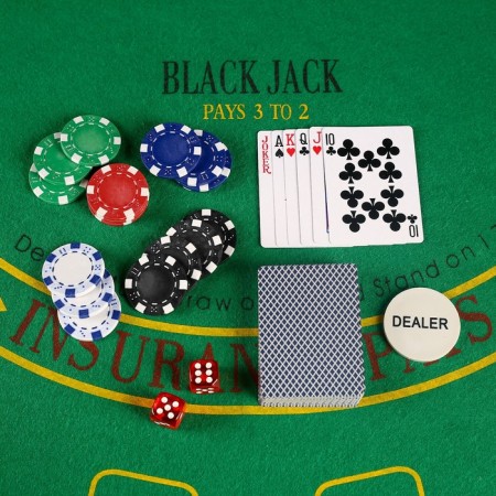 Poker in a metal case (2 decks, chips 300 pcs., 5 cubes), 20.5 x 38 cm-1