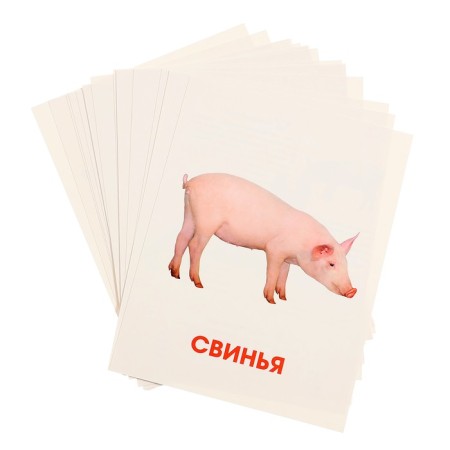 Training cards "Pets"-3