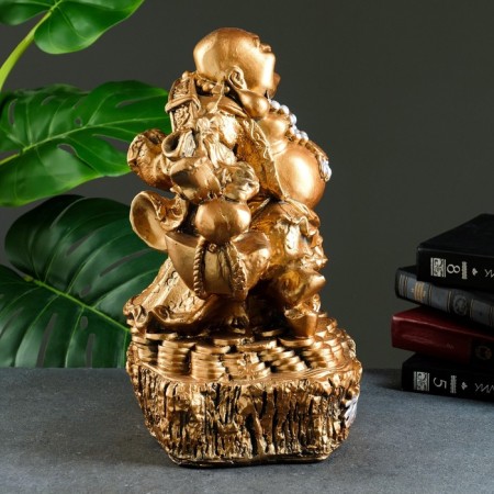 Piggy bank "Hothey Big" bronze, 30x20x37cm-1