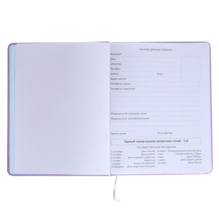 Universal diary for grade 1-11 Funny Tales, hard cover, artificial leather, foam rubber, lies, 80 g/m2-3