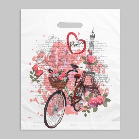 Bon Voyage package, polyethylene with a cut pen, 35 μm, 36 x 45 cm-1