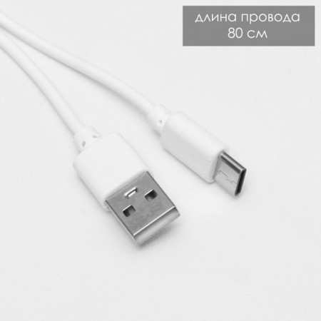 Transformer table lamp LED 3W AKB USB white 15x8.5x42 cm Risalux-18