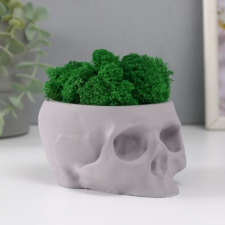 Kashpo concrete "skull" with moss lightly gray 13x9x6.5 cm (moss green stabilized)-1