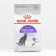 Dry food RC Sterilized 37 for cats, 1.2 kg