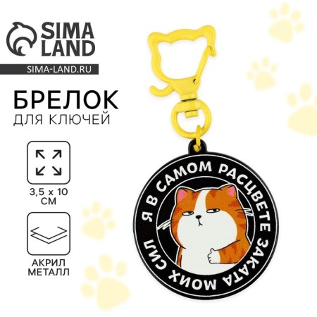 Key keychain children's "I am in the prime", 3.5 x 10 cm