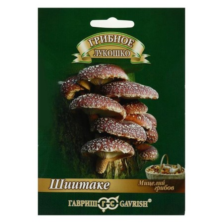 Micelia seeds "Shiitaka", on wood media, 12 pcs