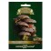 Micelia seeds "Shiitaka", on wood media, 12 pcs