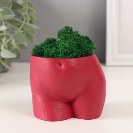 Concrete Kashpo "innocent view" height 6.5 cm, width 8.5 cm wine with moss (moss green. Stabiliz 1041207