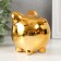 Piggy bank Ceramics "Smiling Pig" MIX 10x7.5x9 cm
