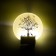 Sconces "Flower tree" LED 6W 4000k white 19.5x6x19.5 cm