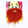 Carnival beard, on a blister, dark