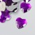 Dark purple