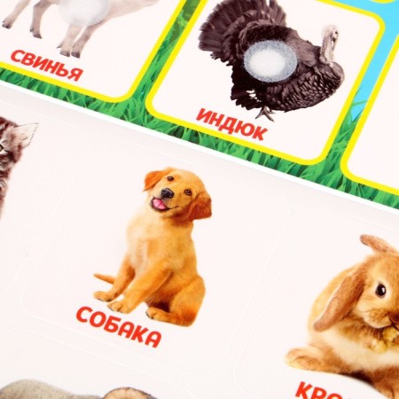 Developing Velcro game "Farm animals", according to the method of G. Doman-3