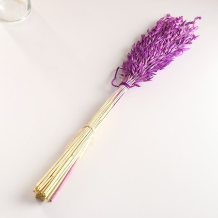 Set of dried flowers "oats", banch length 60-65 (+/- 6 cm), lilac-3