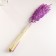 Set of dried flowers "oats", banch length 60-65 (+/- 6 cm), lilac