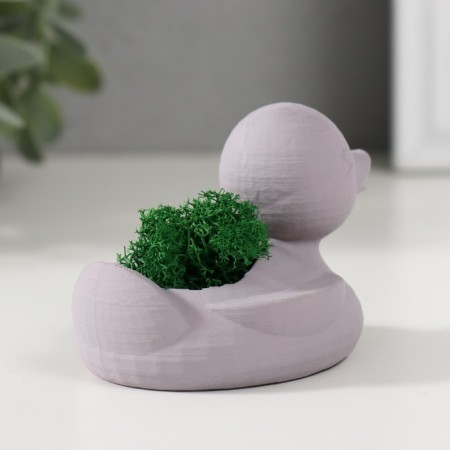 Kashpo concrete "duck" 6x8x5.5 cm gray with moss (moss green stabilized)-1