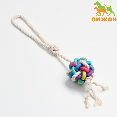 Cable toy with chewing elements "Molecule on the rope", up to 40 cm, up to 90 g, mix