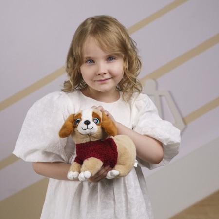 Soft toy "Dog in a booth"-6
