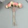 Decor for creativity "Berry Rowan" 1 bouquet = 10 berries white-pink hoar 10x1.5 cm