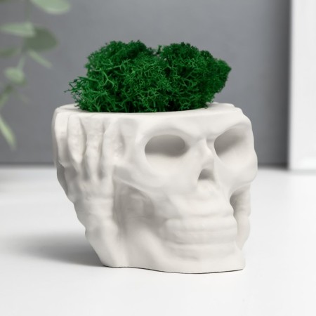 Kashpo concrete "Skull Silence" with moss 6.5x10 cm white (moss green stabilized)-1