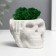 Kashpo concrete "Skull Silence" with moss 6.5x10 cm white (moss green stabilized)