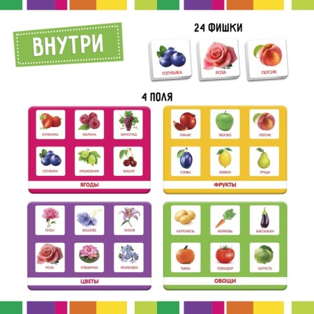 Lotto "Plant World" according to the methodology of G. Doman, 1-4 player, 3+-1