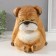 The piggy bank "Boldog with manual painting" Height 17 cm, width 16 cm, length 18 cm.