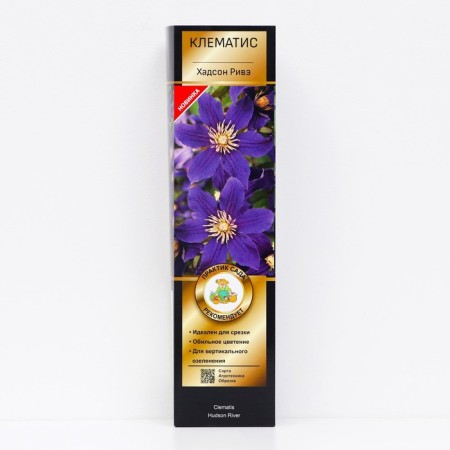 Clematis botanical suite (for cutting) "Hudson Rive", 1 pc, tube, spring 2024