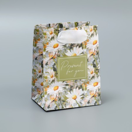 Gift laminated package, packaging, Pressent, 9 x 12 x 6.5 cm-3