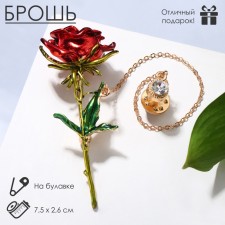 A brooch with an icon on the chain 