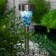 Garden lamp on the sunny battery "Blue stained glass", 7 × 38.5 × 7 cm, 1 LED, glow white