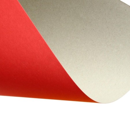 Cardboard of color A3, 8 sheets, 8 colors "Tiger", non -220 g/m2, in the folder-5
