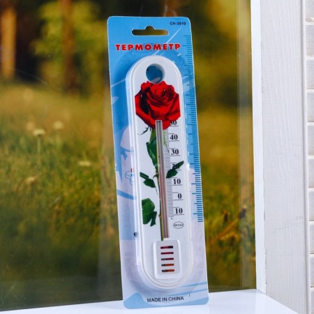 Plastic thermometer of the indoor "flower" in the blist (-10 +50), mix