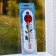 Plastic thermometer of the indoor "flower" in the blist (-10 +50), mix