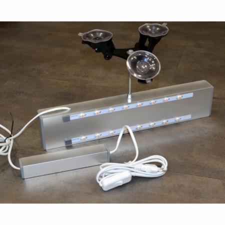 Phytoslight for the windowsill on the titanic suction cup "Bothein" 48W-1