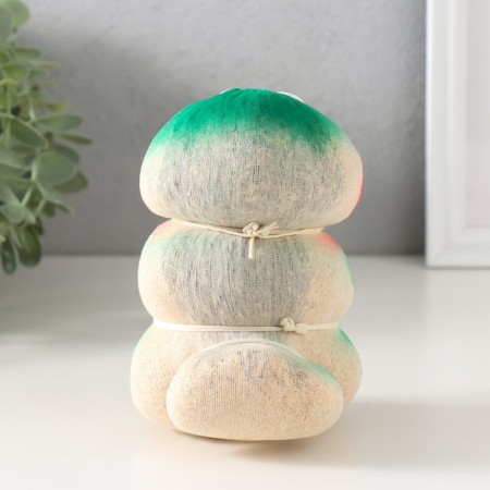 Growing gift Eco -Zemeeka Ecumenger Grass with a key-2