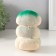 Growing gift Eco -Zemeeka Ecumenger Grass with a key