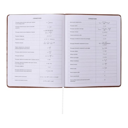 Universal diary for grade 1-11 Feel Inspired, solid cover, artificial leather, foam rubber, foil embossing, liesse, 80 g/m2-8