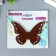 Interior mirror sticker "Openwork" set 3 pcs chocolate 11x7.5 cm