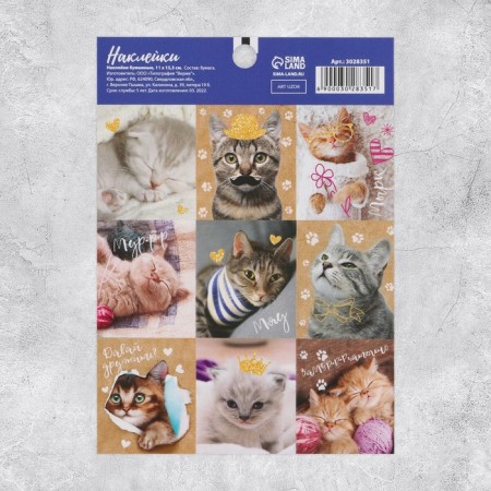 Stickers "Micper cats", 11 × 15.5 cm