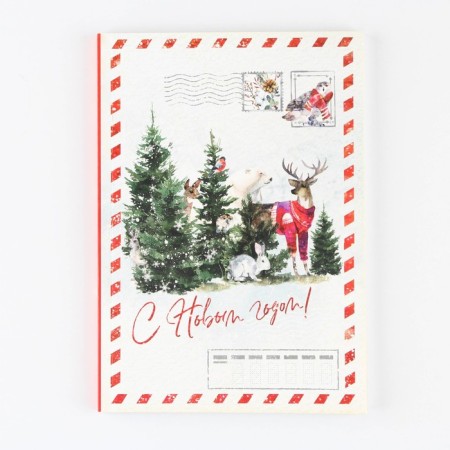Gift New Year's set "Happy New Year!": Diary in a thin cover, A5, 80 sheets and pen, plastic-1