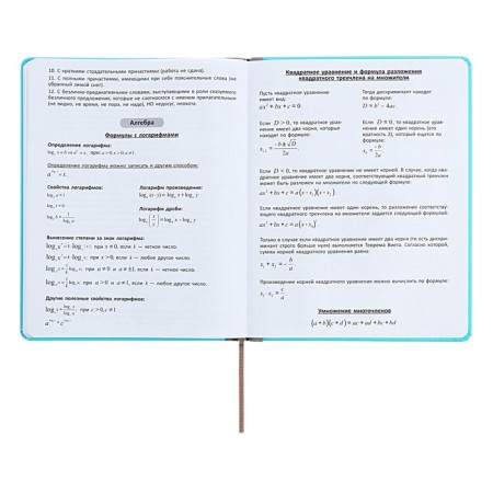 Universal diary for grades 1-11 Excellent, solid cover of artificial leather, silkography, lies, 48 ​​sheets, blue-12