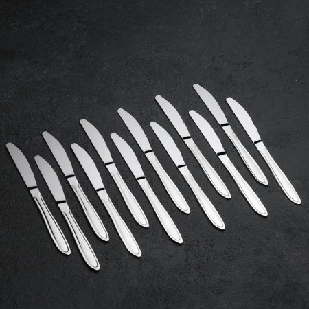 Table Knife "Beagge", length = 20 cm, thickness = 2 mm, silver color-1