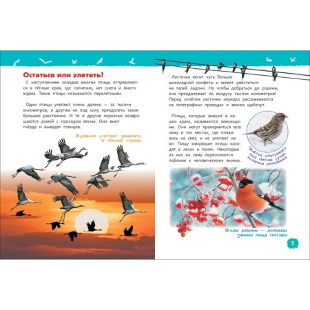 Encyclopedia for the kindergarten "Birds", Galtseva S. N.-2