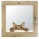 Window, 50 × 60cm, "cat", single -chamber double -glazed window